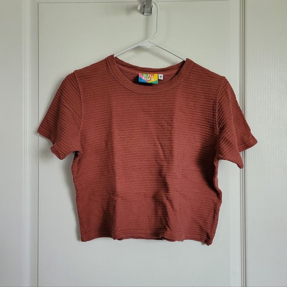 Big Bud Press Honeycomb Cropped Shirt in Pink Clay (Size P)